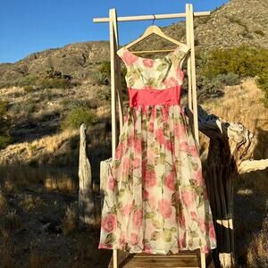 Women's Small Dress Pink Cream Floral Chiffon Layered Romantic Coquette Rare